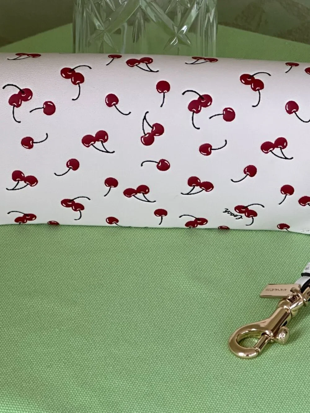 COACH SUNGLASS CASE W/ CHERRY PRINT:NWT CHALK/MULTI CFA49